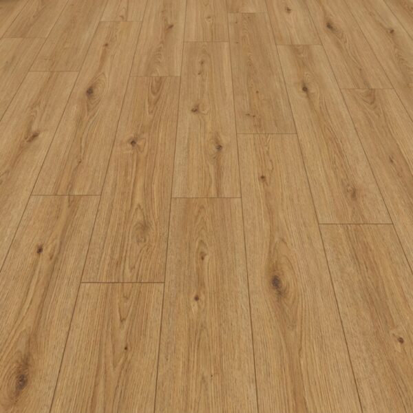 Jackson Oak · P1006