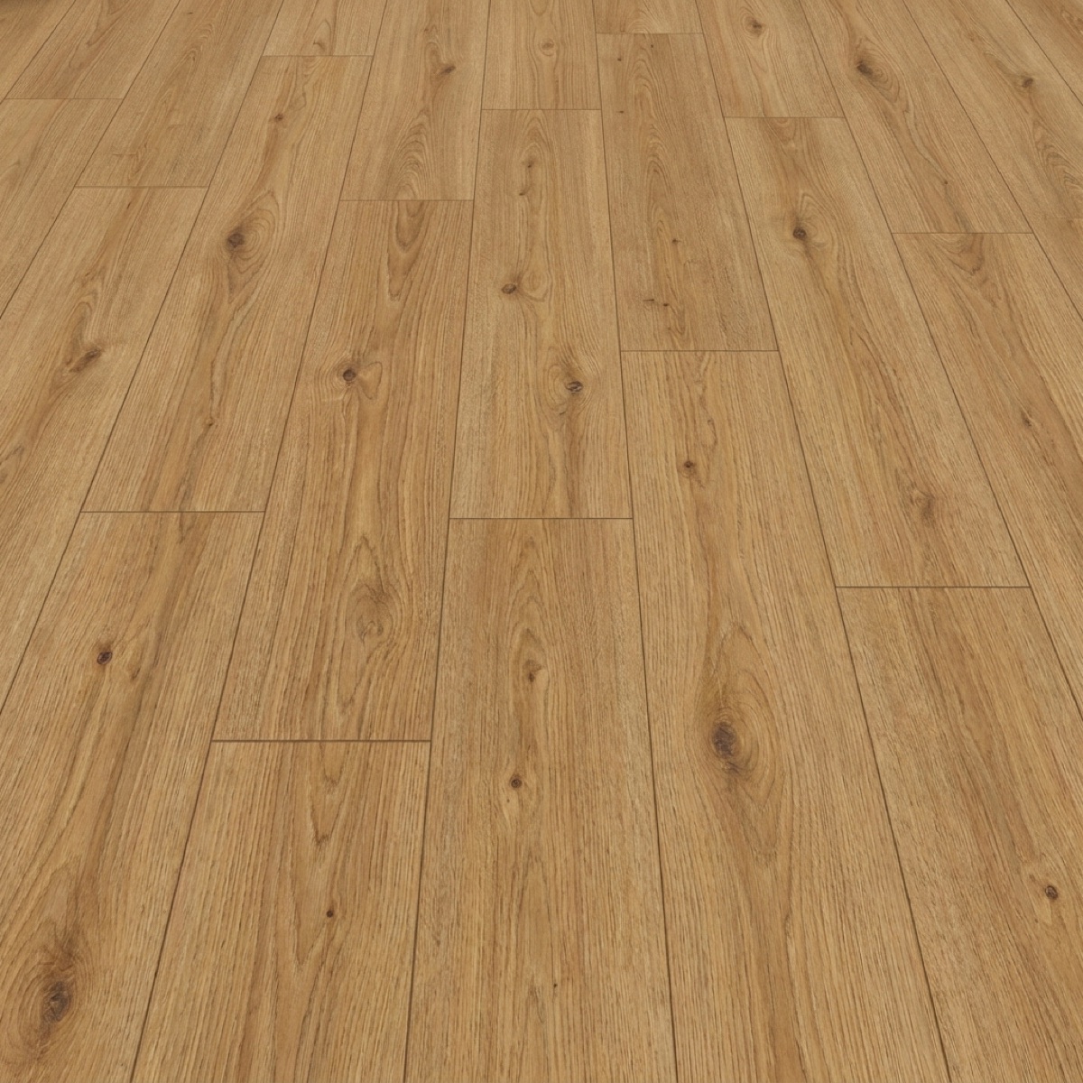Jackson Oak · P1006