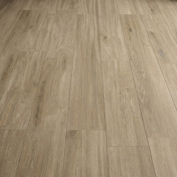 York Oak · P6002