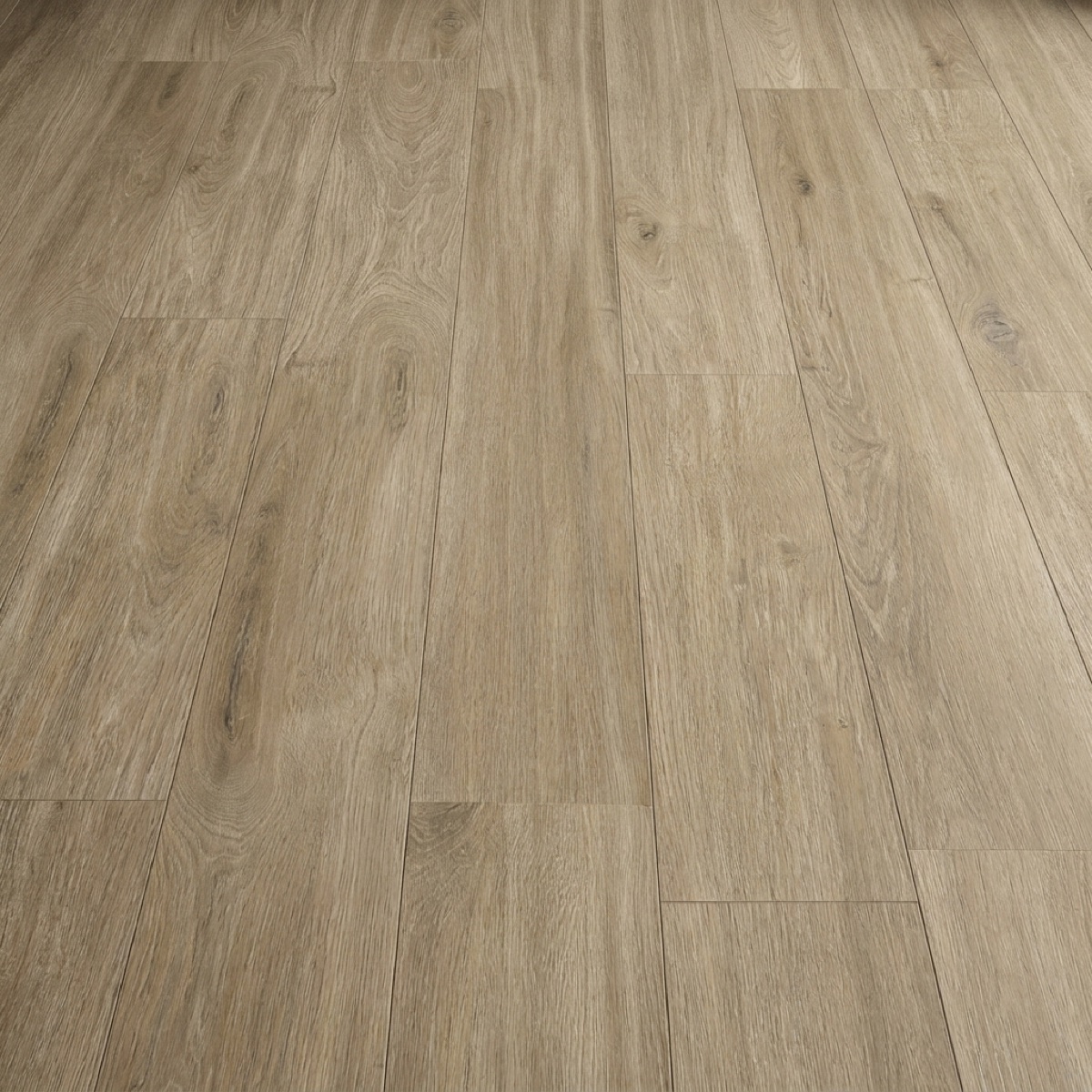 York Oak · P6002