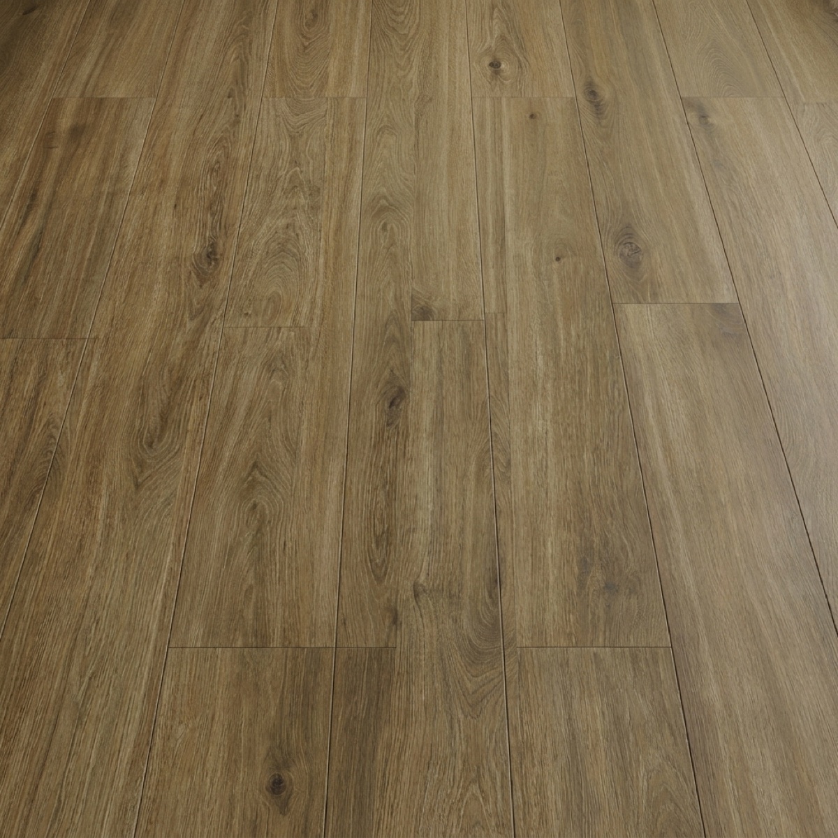 Calm Oak · P6003