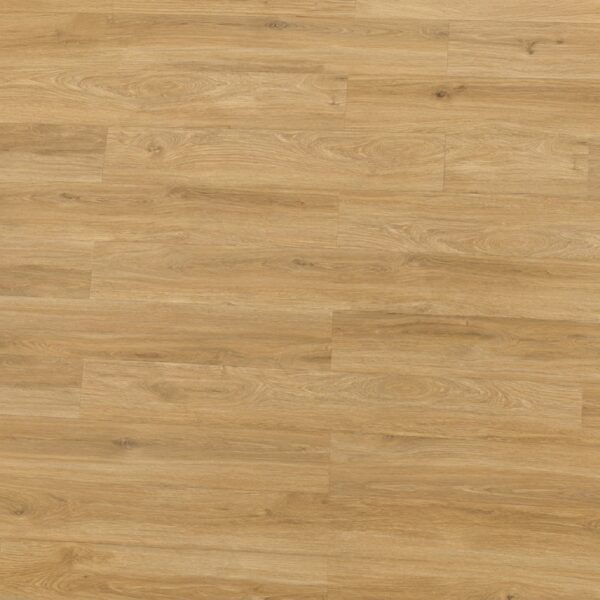 Nature Oak · P6004