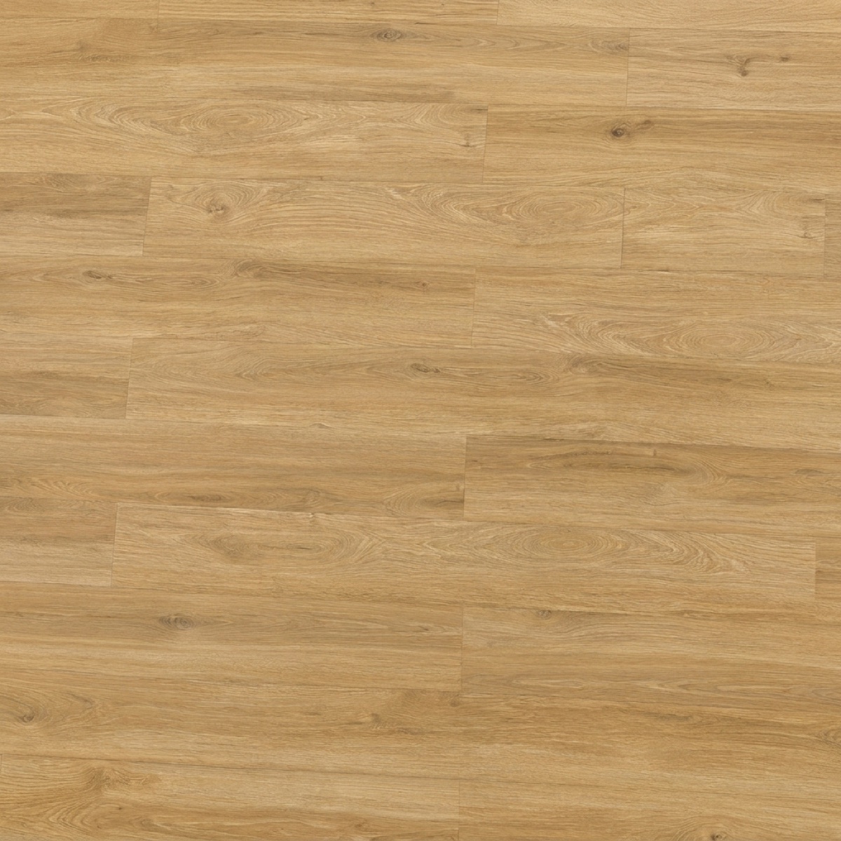 Nature Oak · P6004