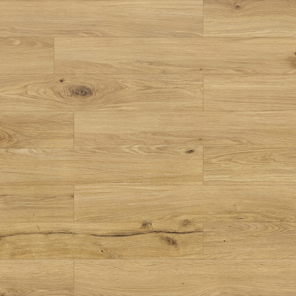 Honey Oak · P7001