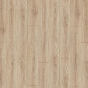 Дуб деревенский · D4164