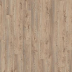 Дуб Макро бежевый · D3669-MMP