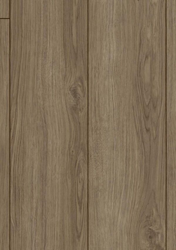 Opal Oak Coffee · D40522
