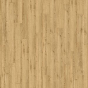 Adaja Oak · D40792-AA
