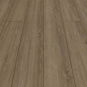 Opal Oak Coffee · D40522