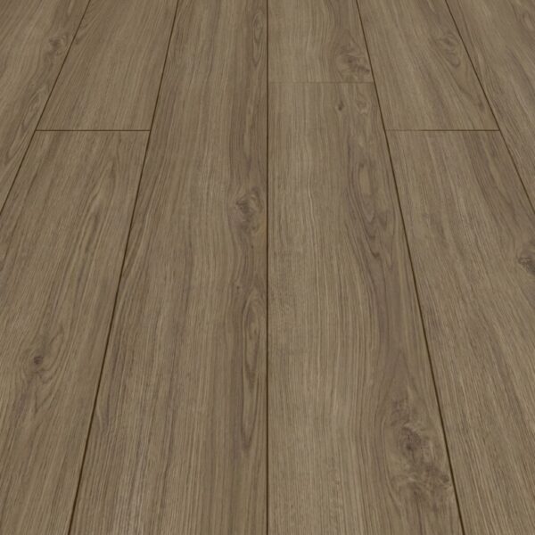 Opal Oak Coffee · D40522