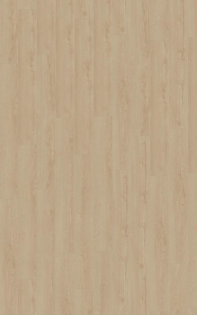Horizont Oak Light · D49522