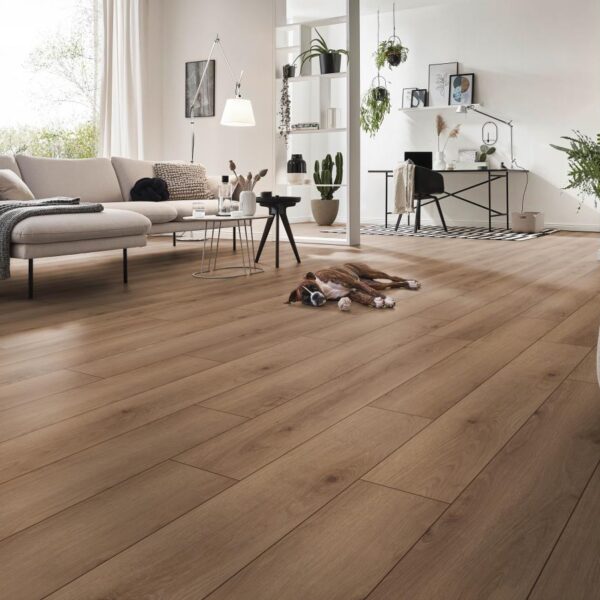 Toscana Oak Brown · D81592