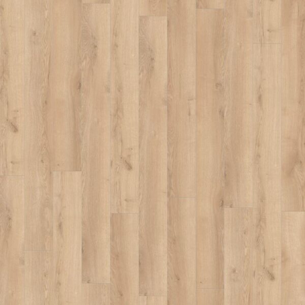 Mountain Oak Silver · D41622