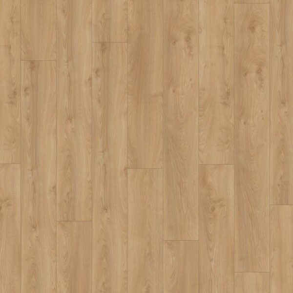 Makro Oak Silver · D41642