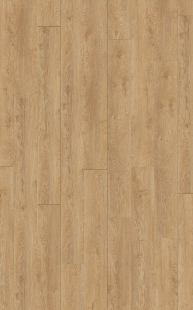 Makro Oak Silver · D41642