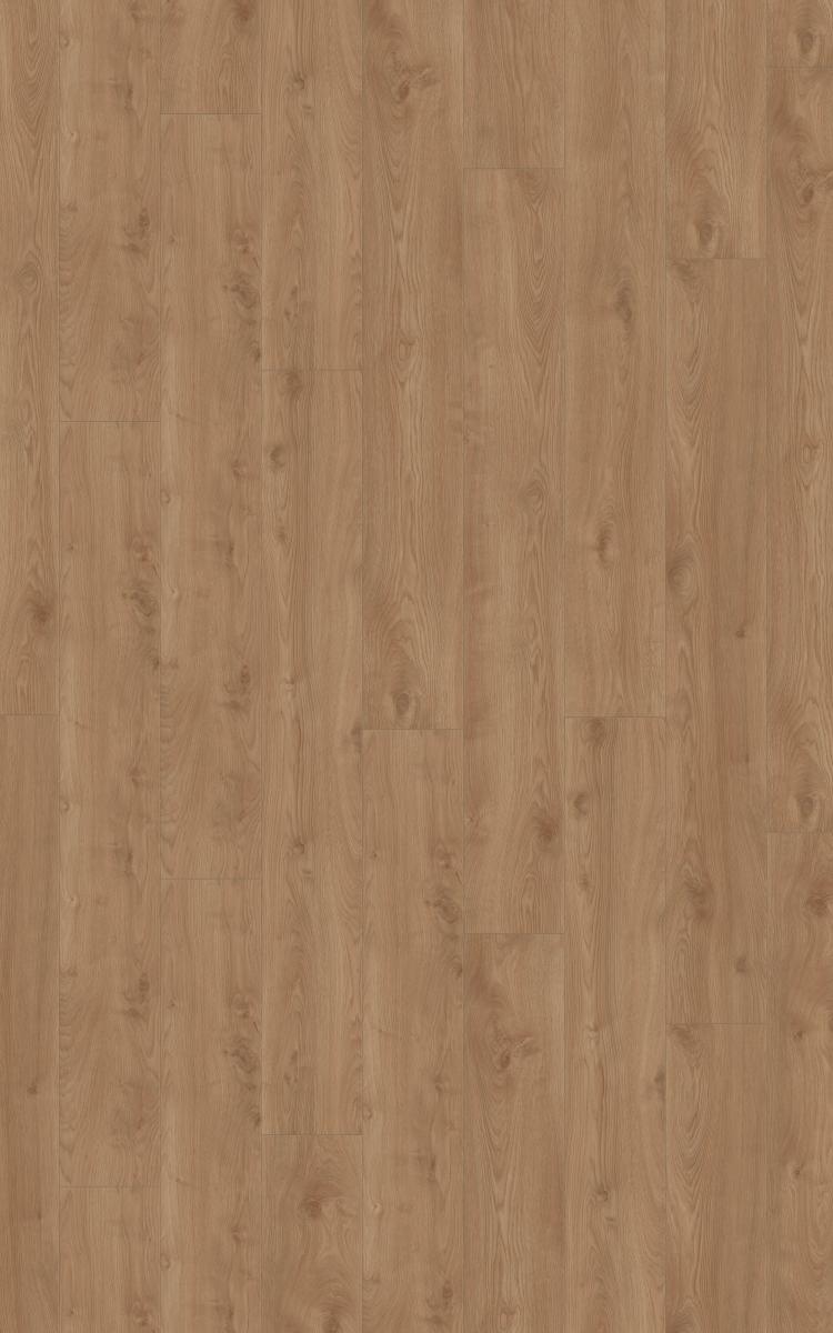 Makro Oak Gold · D41632