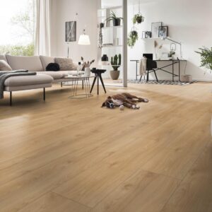 Makro Oak Silver · D41642