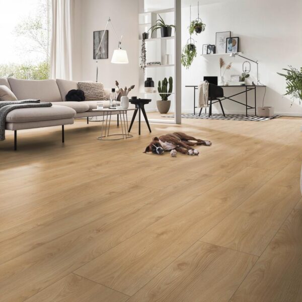 Makro Oak Silver · D41642