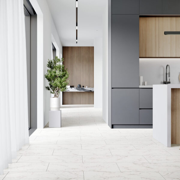 Carrara Marble · D2921
