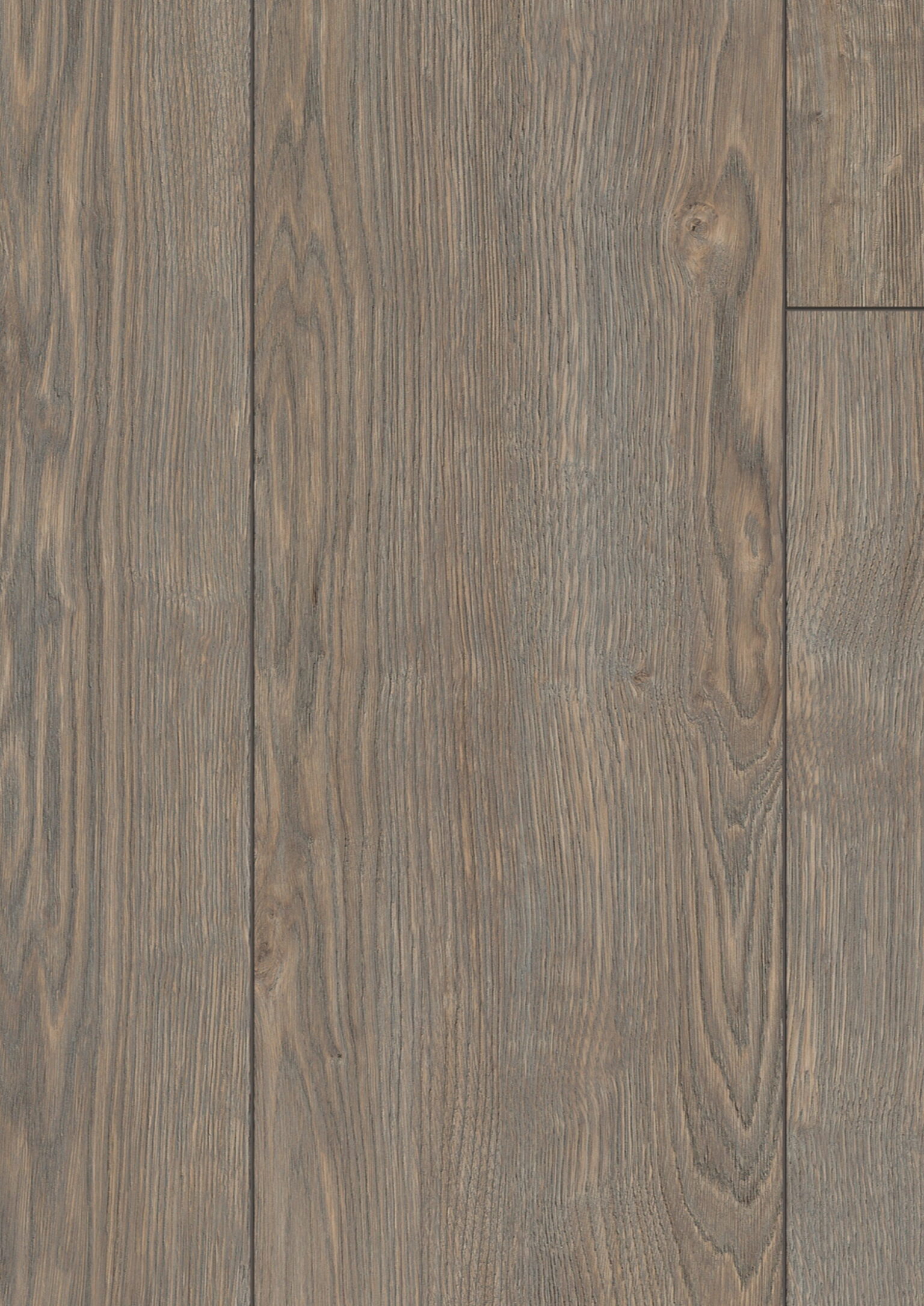 Ruby Eiche Platin · D40532 — фактура декора