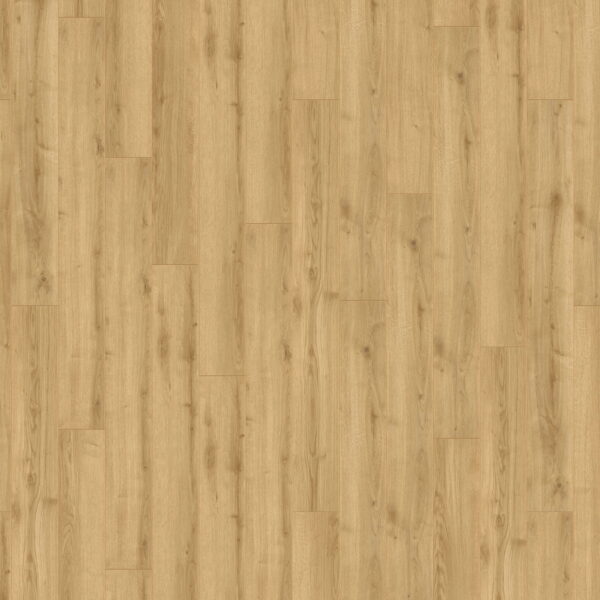 Adaja Oak · D40792-AA — укладка, общий вид