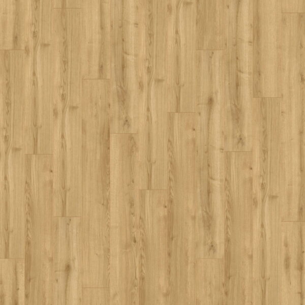 Adaja Oak · D40792-RB — укладка, общий вид