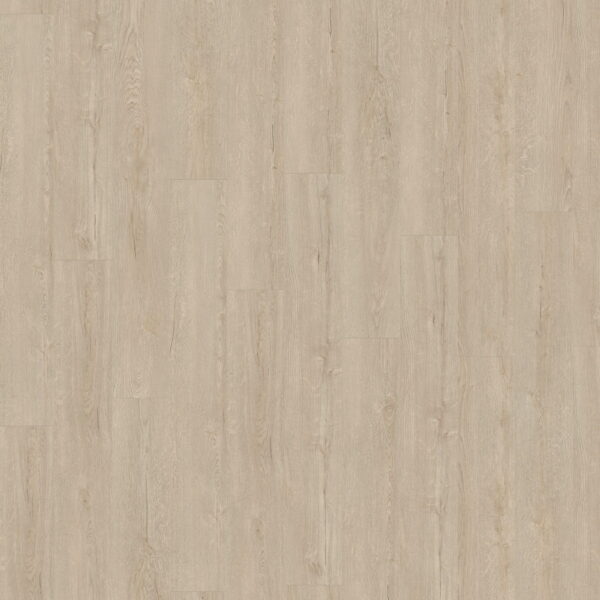 Horizon Oak Creme · D41182 — укладка, общий вид