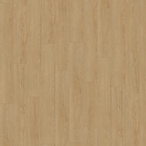 Horizon Oak Nature · D41192 — укладка, общий вид