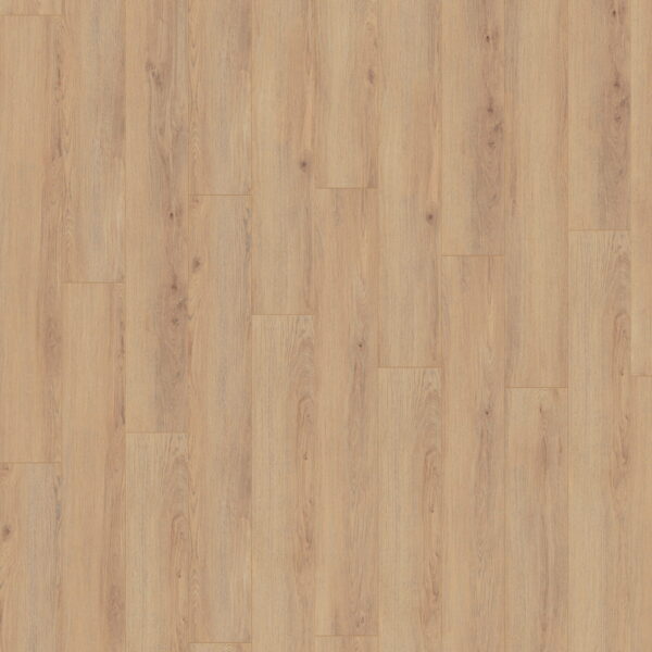 Norfolk Oak · D80592 — укладка, общий вид