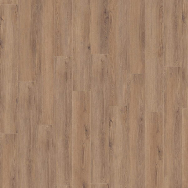 Norfolk Oak Bronze · D80622 — укладка, общий вид