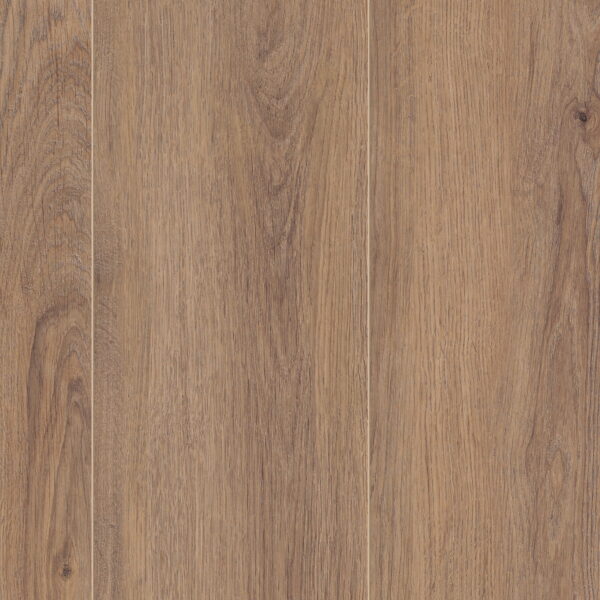 Norfolk Oak Bronze · D80622 — фактура декора