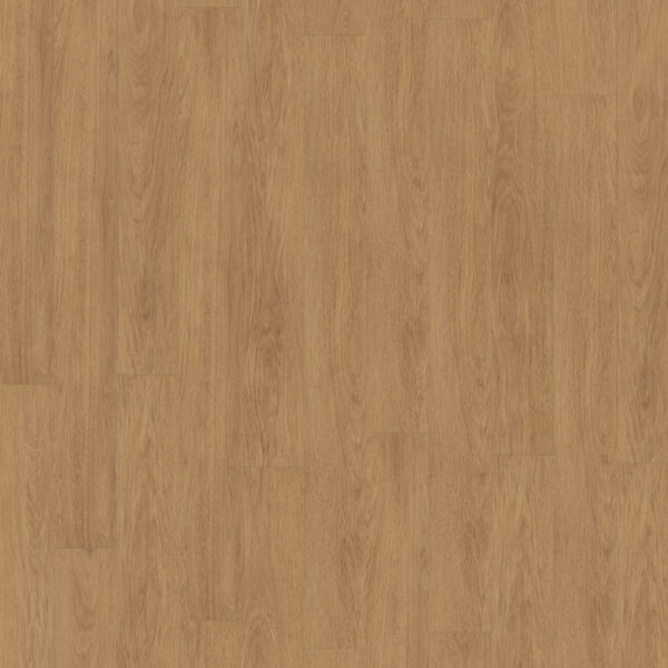 Elegance Oak Nature · D81132-MM — укладка, общий вид