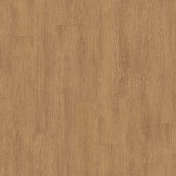 Elegance Oak Nature · D81132-MMP — укладка, общий вид