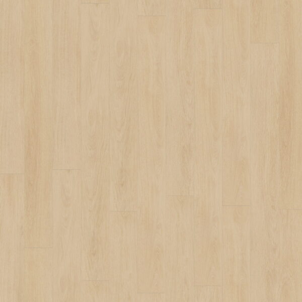 Elegance Oak Beige · D81142-MM — укладка, общий вид