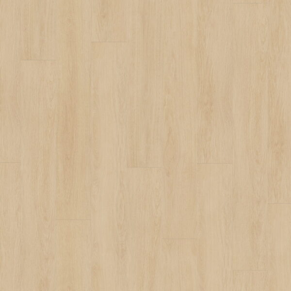 Elegance Oak Beige · D81142-MMP — укладка, общий вид