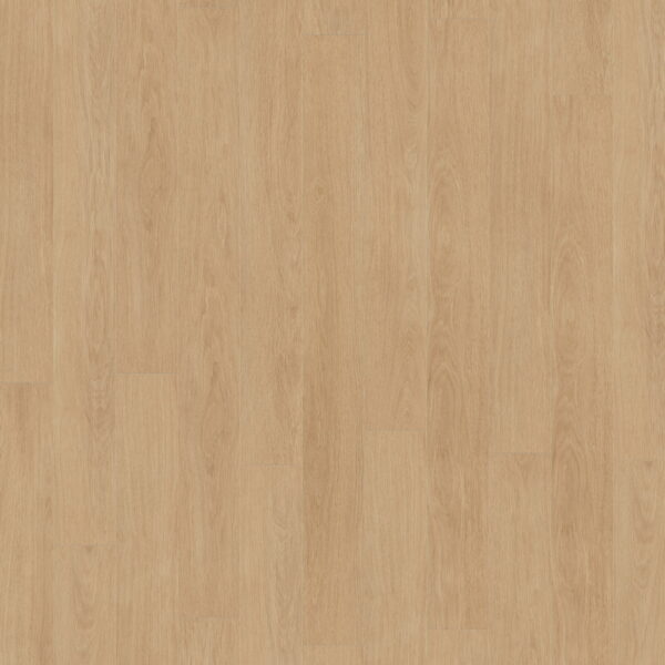 Elegance Oak Creme · D81162-MM — укладка, общий вид