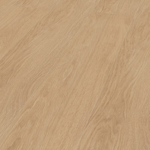 Elegance Oak Creme · D81162-MMP — укладка