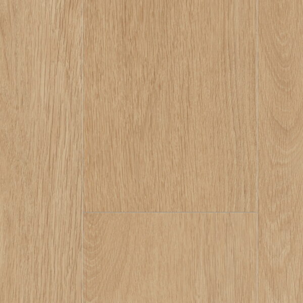 Elegance Oak Creme · D81162-MMP — фактура декора
