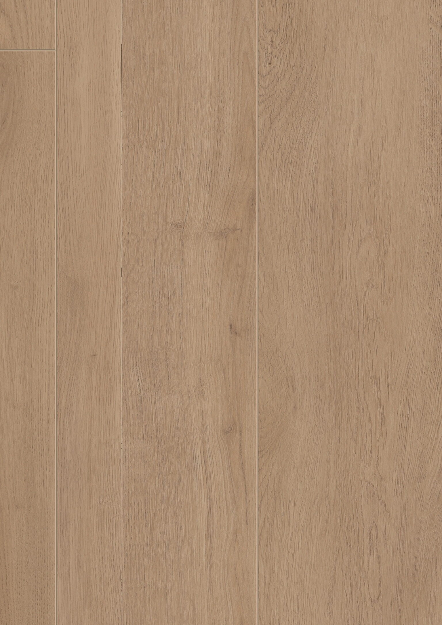 Mistral Oak Beige · D89682 — фактура декора