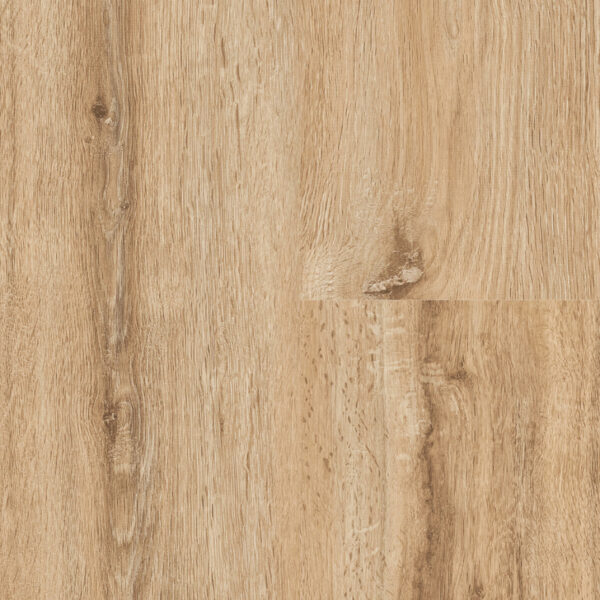 Vail Oak · P1003