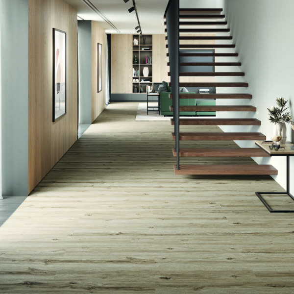 Vail Oak · P1003