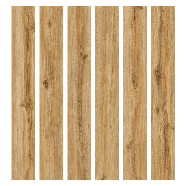 Riley Oak · P1004