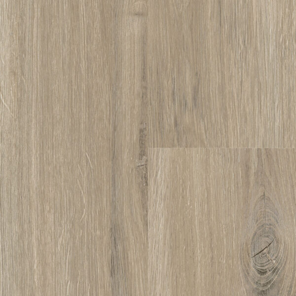 Tuscon Oak · P6001