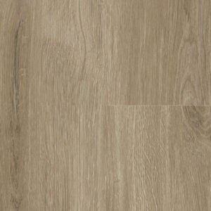 York Oak · P6002