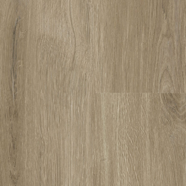 York Oak · P6002