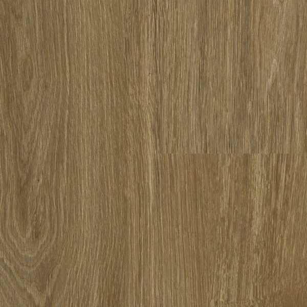 Calm Oak · P6003